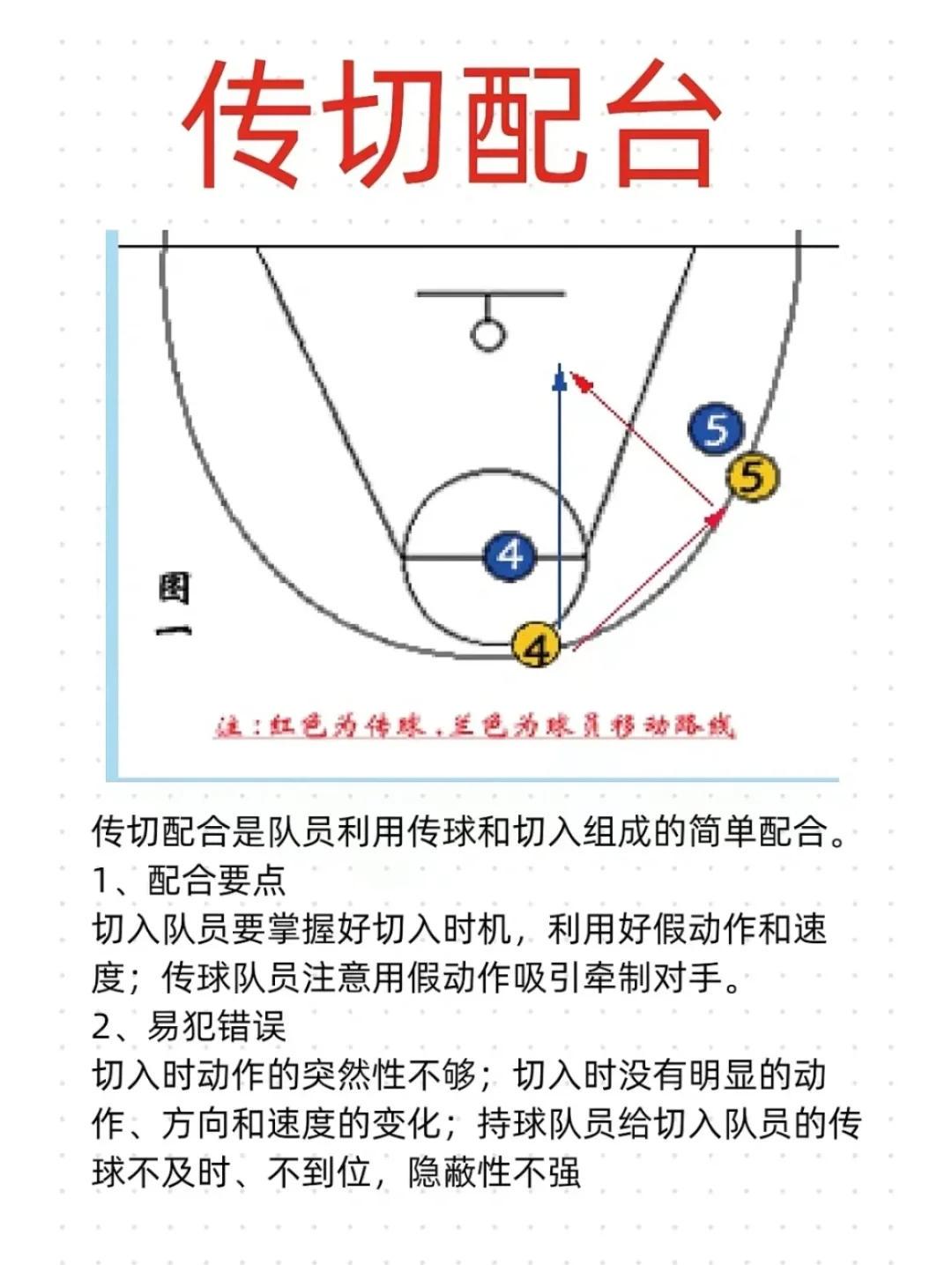 青少年学生篮球训练营发言稿_1